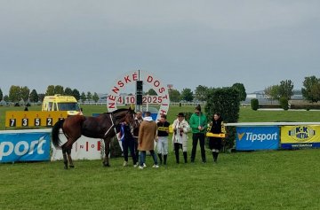 Dostihy Brno - Dvorska 4.10.2025