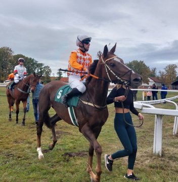 Dostihy - Kolesa 5.11.2023