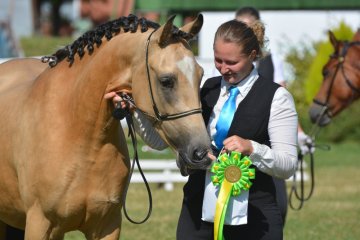 Mezinárodní šampionát Welsh Pony and Cob – Pardubice 28.-29.6.2025