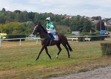 Slušovické dostihy 7.9.2024