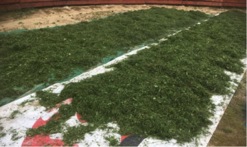 Možnost většího využití sena v myslivecké péči o srnčí zvěř v zimě