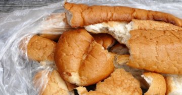 Pečivo pro slepice: Proč může víc škodit než pomáhat?