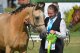 Mezinárodní šampionát Welsh Pony and Cob – Pardubice 28.-29.6.2025