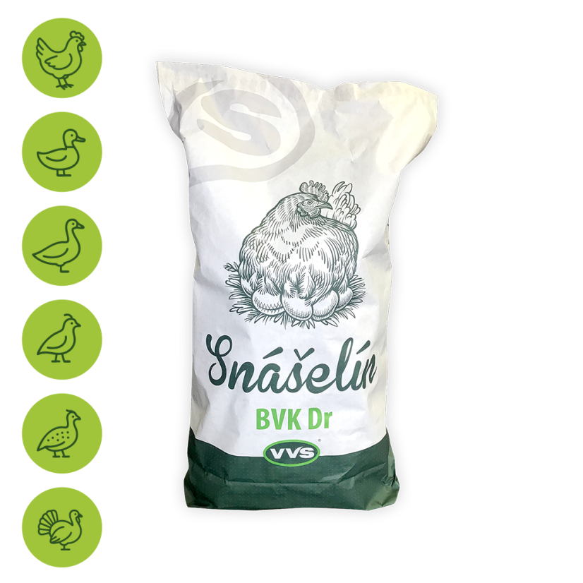 Snášelín Snášelín