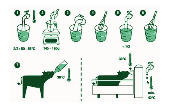 Krmení telat - Nukamel Productions B.V.