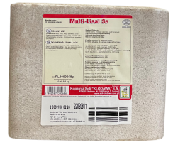 Multi-Lisal SE