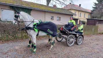 Petr a Petra Myslíkovi