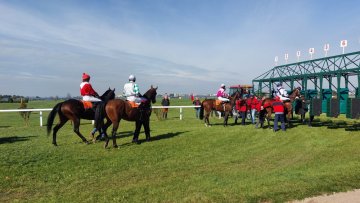 Proč a jak se seká travnatá dráha na dostihovišti: Praktický pohled na údržbu, bezpečnost koní a moderní techniku