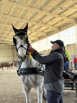 Finále vozatajského Zimního poháru 2025 a první celkové vítězství pro Hoppoclub Lednice